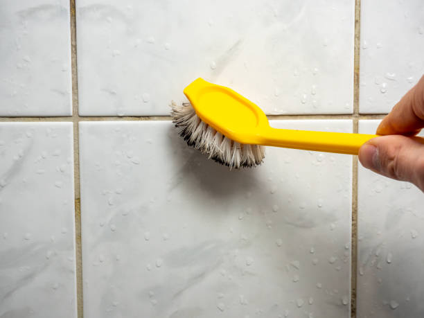 Best Mold Cleaning Services  in Jackson, MS