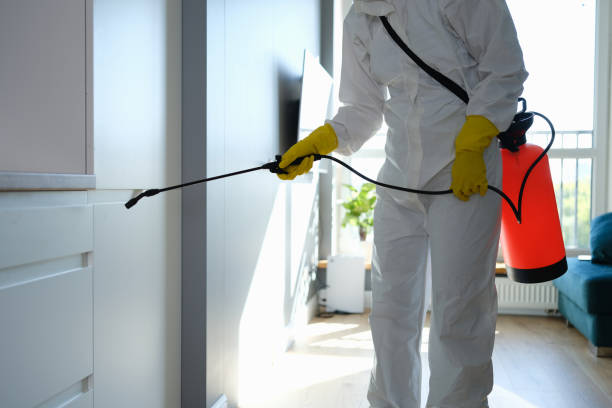 Best Commercial Mold Removal  in Jackson, MS
