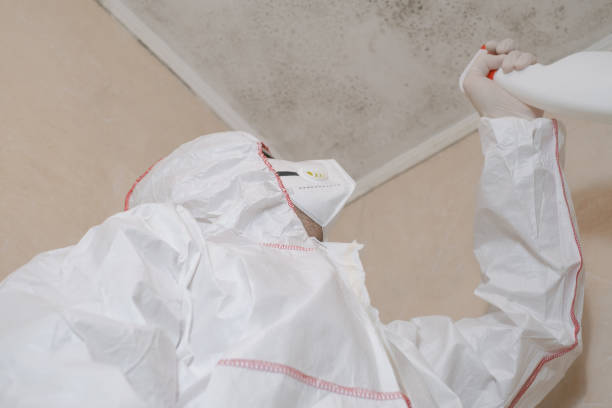 Best Emergency Mold Removal  in Jackson, MS