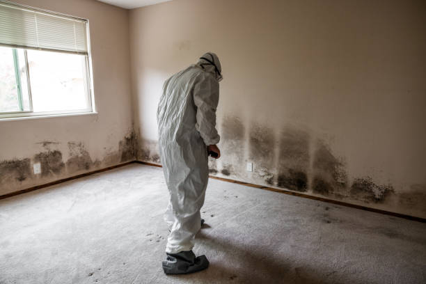 Best Crawl Space Mold Removal  in Jackson, MS