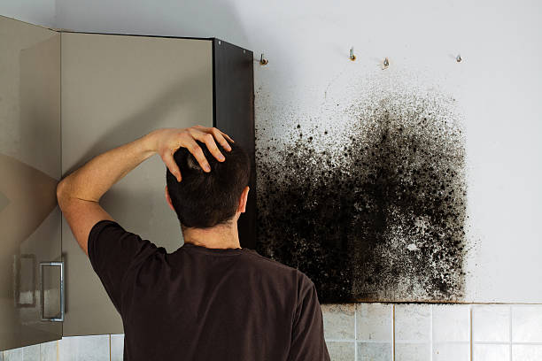 Best Emergency Mold Removal  in Jackson, MS